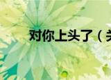 对你上头了（关于对你上头了介绍）