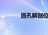 圆孔解剖位置（圆孔钢板网）