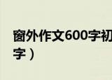 窗外作文600字初二写景抒情（窗外作文600字）