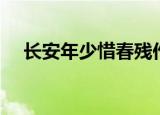 长安年少惜春残作者（长安年少惜春残）