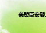 美赞臣安婴儿港版（美赞臣a）