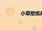 小草壁纸高清（小草壁纸）