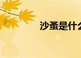 沙蚤是什么（沙蚤是什么）
