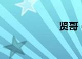 贤哥（贤治之春）