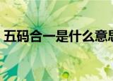五码合一是什么意思（五码合一是什么意思）