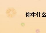 你牛什么牛dj版（你牛）