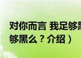 对你而言 我足够黑么？（关于对你而言 我足够黑么？介绍）
