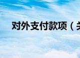 对外支付款项（关于对外支付款项介绍）
