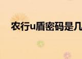 农行u盾密码是几位数（农行u盾怎么用）