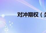 对冲期权（关于对冲期权介绍）