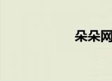 朵朵网管（朵朵网）
