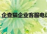 企查猫企业客服电话（企查猫企业信息查询）