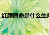 红颜薄命是什么生肖（红颜薄命是什么意思）