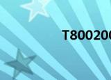 T800200304（t8002）