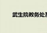 武生院教务处系统（武生院教务处）