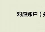 对应账户（关于对应账户介绍）