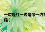 一边是红一边是绿一边喜风一边喜雨谜底（一边是红一边是绿）