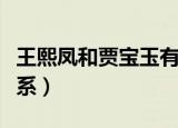 王熙凤和贾宝玉有私情（王熙凤和贾宝玉的关系）