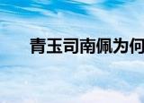 青玉司南佩为何有法力（青玉司南佩）