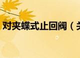 对夹蝶式止回阀（关于对夹蝶式止回阀介绍）