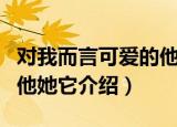 对我而言可爱的他她它（关于对我而言可爱的他她它介绍）