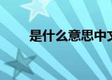 是什么意思中文翻译（是什么意思）