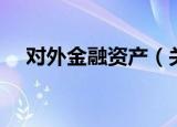 对外金融资产（关于对外金融资产介绍）