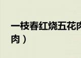 一枝春红烧五花肉百度云（一枝春 红烧五花肉）