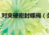 对夹硬密封蝶阀（关于对夹硬密封蝶阀介绍）