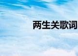 两生关歌词（两生关 谢安琪）