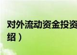 对外流动资金投资（关于对外流动资金投资介绍）
