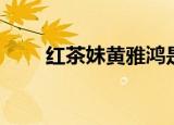 红茶妹黄雅鸿是谁的女儿（红茶妹）