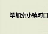 毕加索小镇对口幼儿园（毕加索小镇）