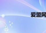 爱盟网站（爱盟网）