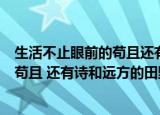 生活不止眼前的苟且还有诗和远方的作文（生活不止眼前的苟且 还有诗和远方的田野）