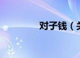 对子钱（关于对子钱介绍）