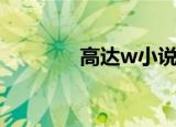 高达w小说（高达w白雪姬）