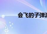 会飞的子弹游戏（会飞的子弹）