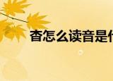 杳怎么读音是什么意思（杳怎么读）