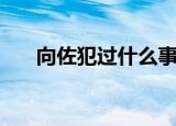 向佐犯过什么事（向佐被打事件真相）