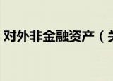 对外非金融资产（关于对外非金融资产介绍）