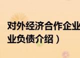 对外经济合作企业负债（关于对外经济合作企业负债介绍）