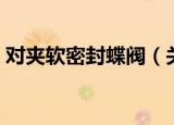 对夹软密封蝶阀（关于对夹软密封蝶阀介绍）