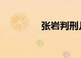 张岩判刑几年（张岩seo）