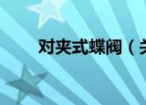 对夹式蝶阀（关于对夹式蝶阀介绍）