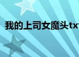 我的上司女魔头txt下载（我的上司女魔头）