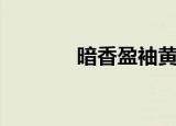 暗香盈袖黄花飘（暗香盈袖）