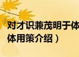 对才识兼茂明于体用策（关于对才识兼茂明于体用策介绍）