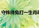 守株待兔打一生肖动物（守株待兔打一生肖）
