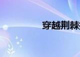 穿越荆棘拥抱你免费阅读